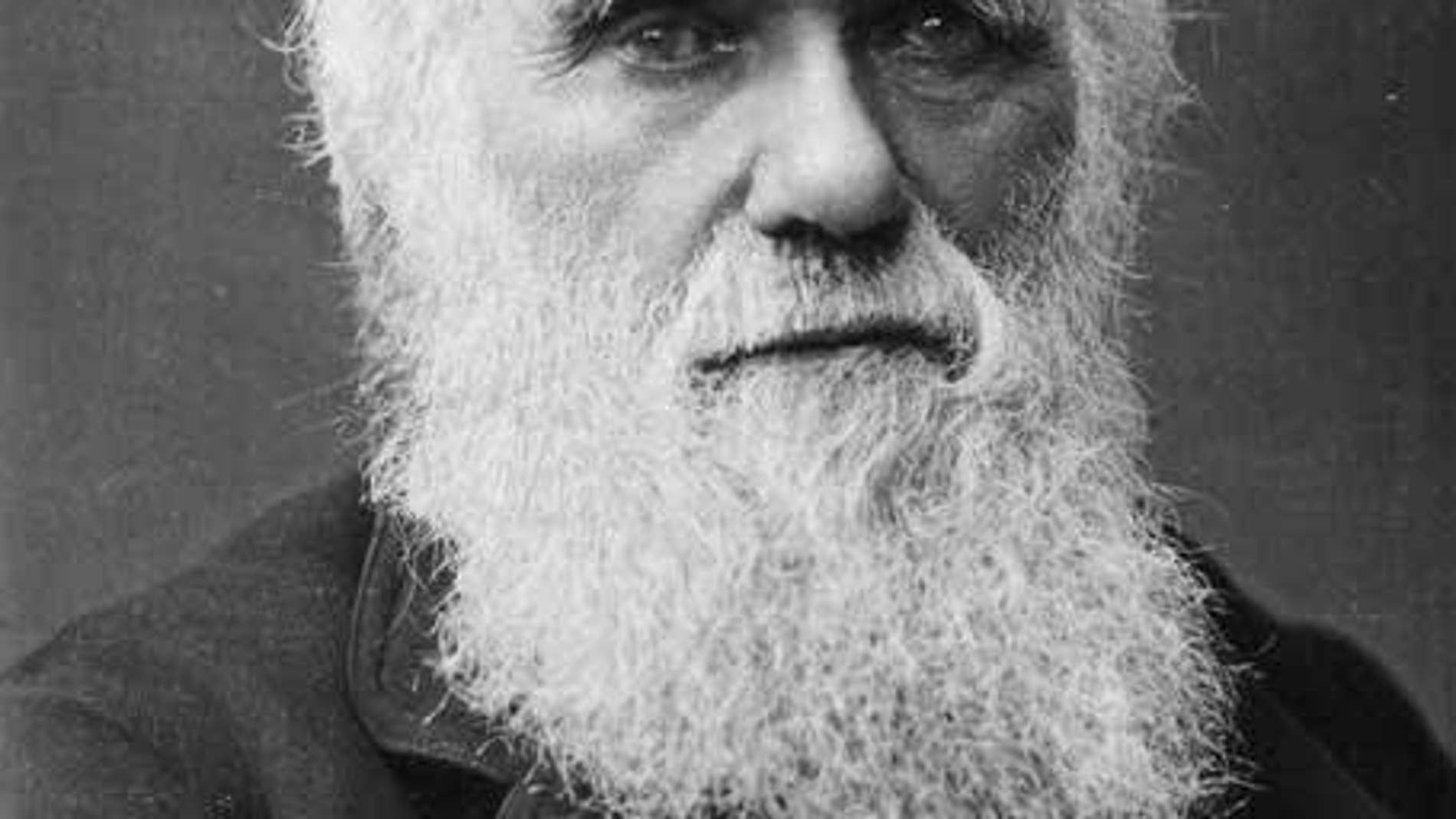 Ilustración de Charles Darwin