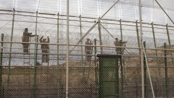 Varios operarios colocan a lo largo del perímetro fronterizo de Melilla