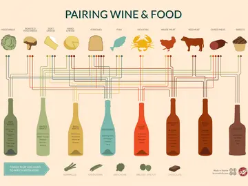 Infografía sobre maridaje de vino Infografía sobre maridaje de vino