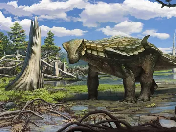 El anquilosauro de Ariño. El anquilosauro de Ariño.