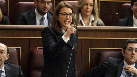 El PSOE reprocha la actitud del Gobierno respecto al aborto El PSOE reprocha la actitud del Gobierno respecto al aborto