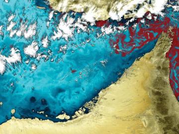 Imagen satelital de la marea roja en el Golfo de Omán y el Golfo Pérsico