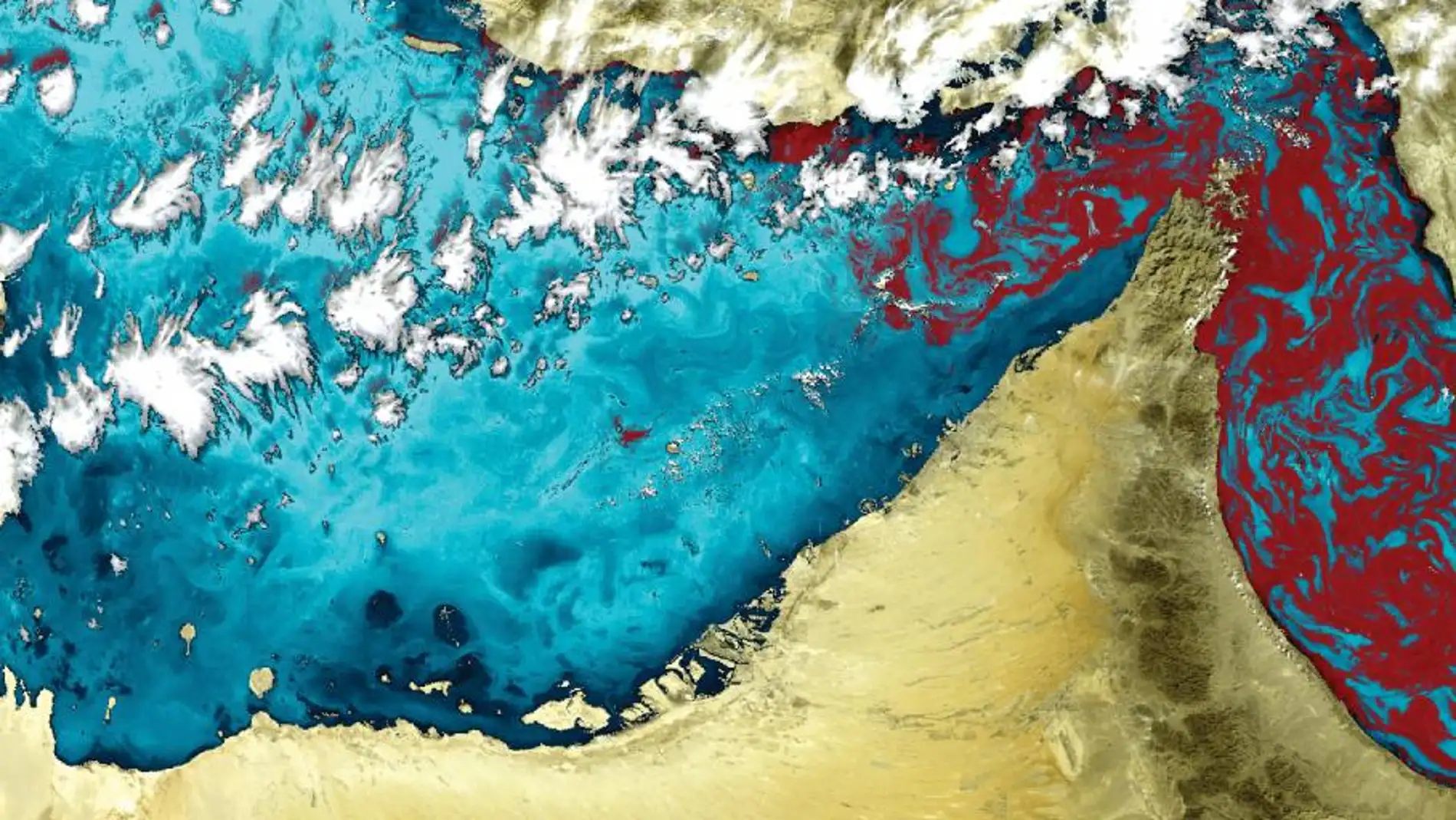 Imagen satelital de la marea roja en el Golfo de Omán y el Golfo Pérsico