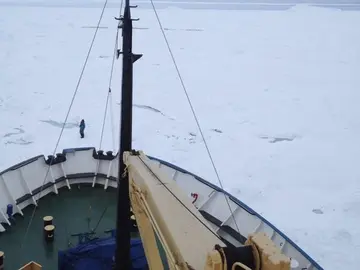 Imagen del Akademik Shokalskiy atrapado en el hielo Imagen del Akademik Shokalskiy atrapado en el hielo