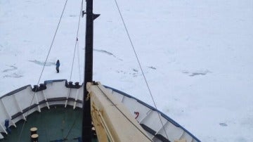 Imagen del Akademik Shokalskiy atrapado en el hielo