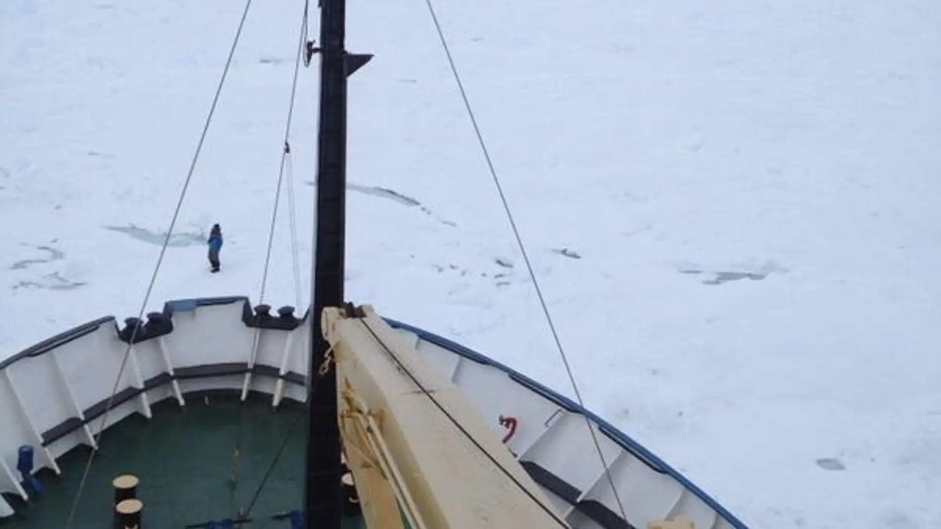 Imagen del Akademik Shokalskiy atrapado en el hielo