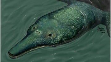 Una tortuga gigante con un hocico sin igual