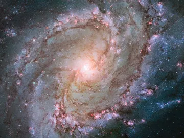Imagen de la galaxia Messier 83 conocida como galaxia del molinillo austral, sede de un gran número de explosiones de supernovas y que, además, parece tener un doble núcleo Imagen de la galaxia Messier 83 conocida como galaxia del molinillo austral, sede de un gran número de explosiones de supernovas y que, además, parece tener un doble núcleo