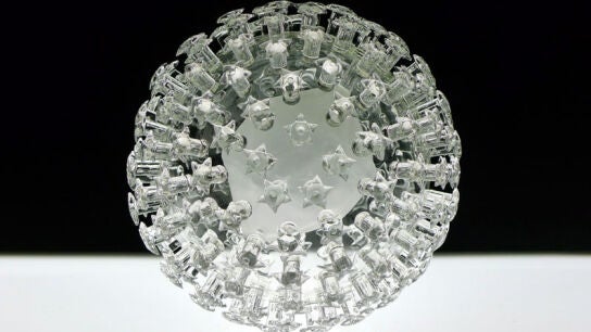 Virus del papiloma humano