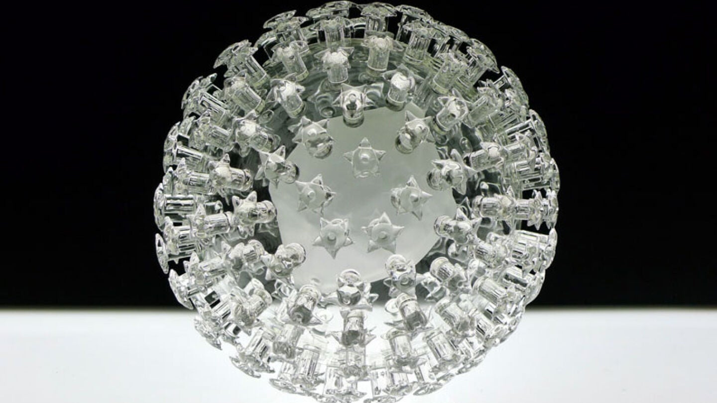 Virus del papiloma humano