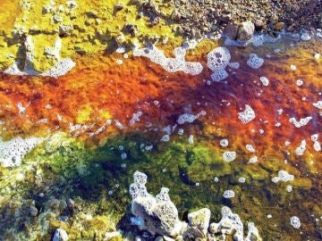 Paraje de río Tinto (Huelva). En sus aguas residen una gran variedad de acidófilos