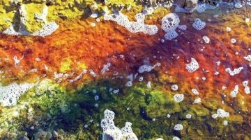 Paraje de río Tinto (Huelva). En sus aguas residen una gran variedad de acidófilos