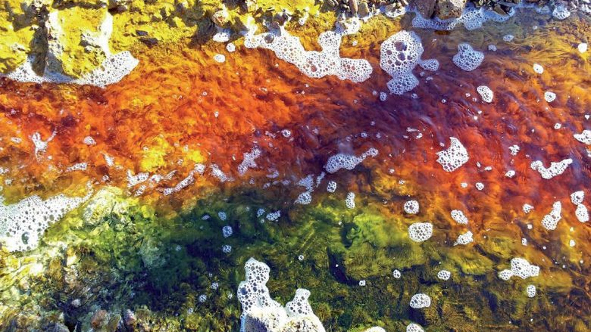 Paraje de río Tinto (Huelva). En sus aguas residen una gran variedad de acidófilos