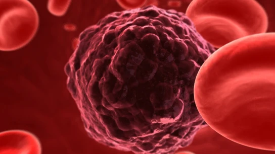 Mutación de una célula cancerígena Mutación de una célula cancerígena