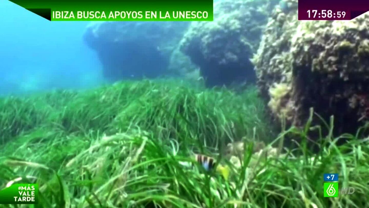 Aguas en torno a la isla de Ibiza