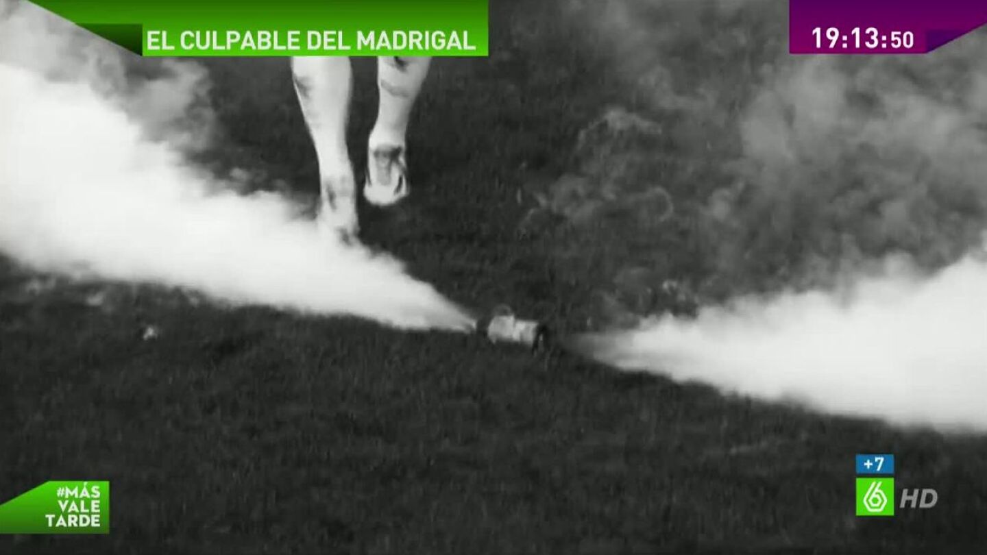Localizado el sospechoso que lanz&oacute; el bote de gas lacrim&oacute;geno en el Madrigal
