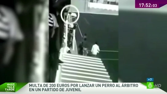 Multa por lanzar un perro Multa por lanzar un perro