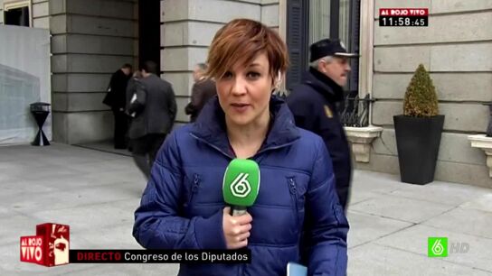 Cristina Pardo en el Congreso de los diputados