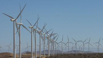 Parque eólico Alta Wind Energy Center, California