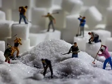 Los obreros amontonan azúcar Los obreros amontonan azúcar