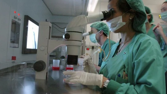 Investigadores Investigadores