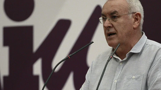 El líder de IU, Cayo Lara, durante su intervención ante el Consejo Político de la federación El líder de IU, Cayo Lara, durante su intervención ante el Consejo Político de la federación