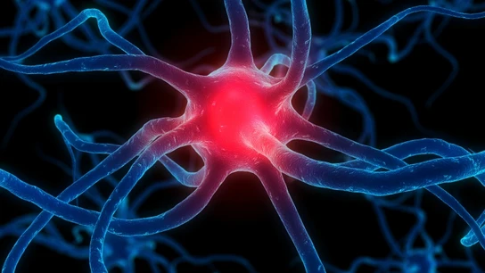 Imágenes de resonancia magnética de alto campo pueden permitir el diagnóstico temprano del Parkinson Imágenes de resonancia magnética de alto campo pueden permitir el diagnóstico temprano del Parkinson