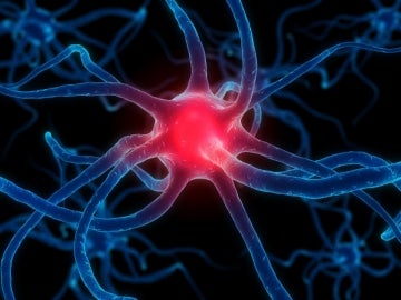 Imágenes de resonancia magnética de alto campo pueden permitir el diagnóstico temprano del Parkinson Imágenes de resonancia magnética de alto campo pueden permitir el diagnóstico temprano del Parkinson
