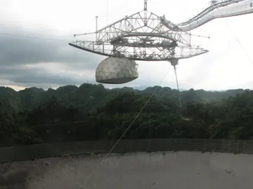 Arecibo Arecibo