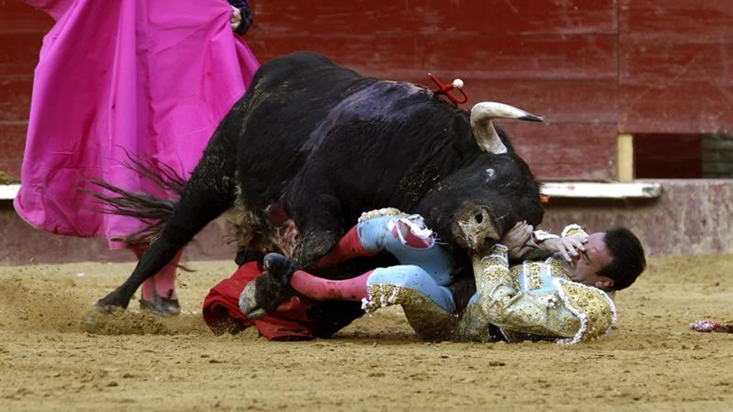 El torero Enrique Ponce sufre un percance con el primer toro de su lote El torero Enrique Ponce sufre un percance con el primer toro de su lote