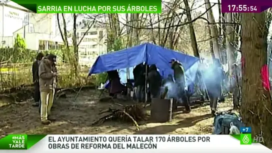 Vecinos de Sarria acampados contra la tala Vecinos de Sarria acampados contra la tala