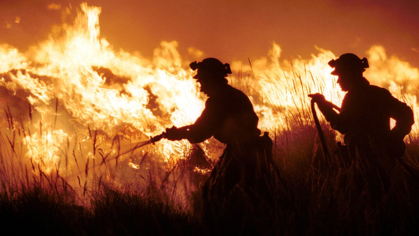 Unas 200 personas trabajan para extinguir un incendio en la sierra de G&aacute;dor
