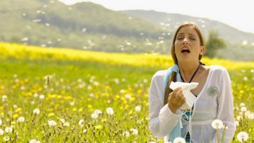 Hay apps que pueden ayudarte a sobrellevar la primavera