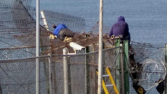 Inmigrantes en la valla de Melilla Inmigrantes en la valla de Melilla
