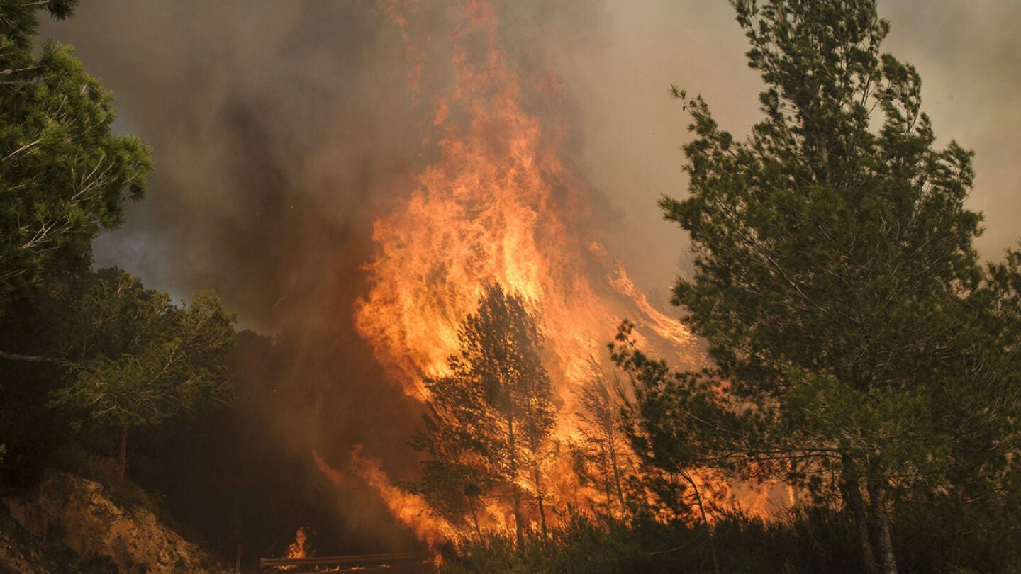 incendio declarado en la zona de Es Cubells, en el municipio ibicenco de Sant Josep de sa Talaia