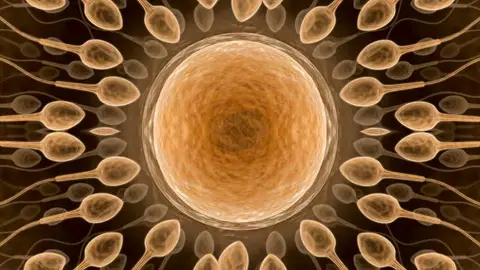 Espermatozoides en torno a un óvulo Espermatozoides en torno a un óvulo