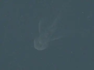 Aquí algunos vieron al monstuo del Lago Ness Aquí algunos vieron al monstuo del Lago Ness