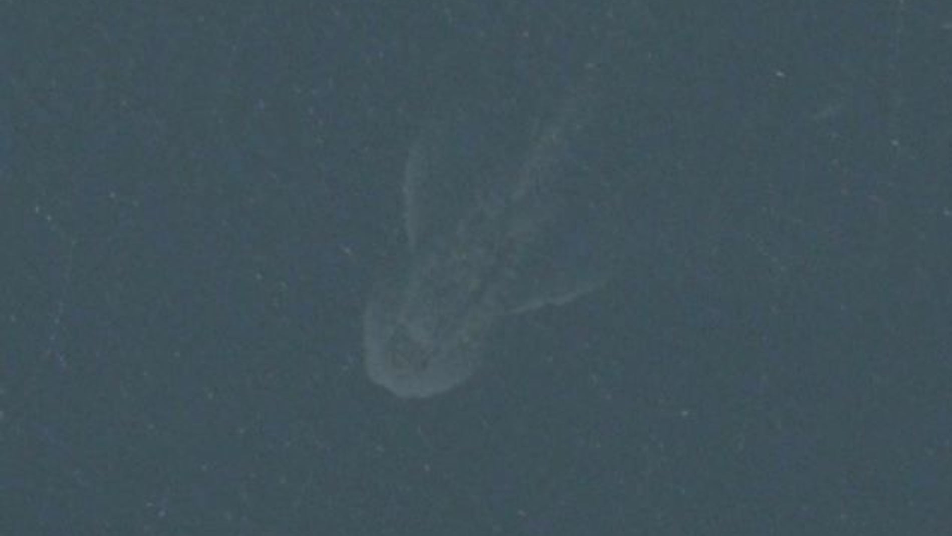 Aquí algunos vieron al monstuo del Lago Ness