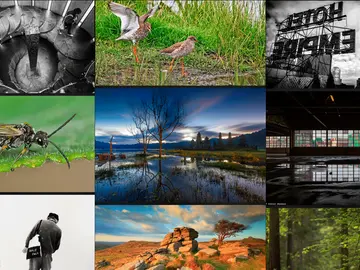 Recomendaciones fotográficas en la app de Flickr Recomendaciones fotográficas en la app de Flickr