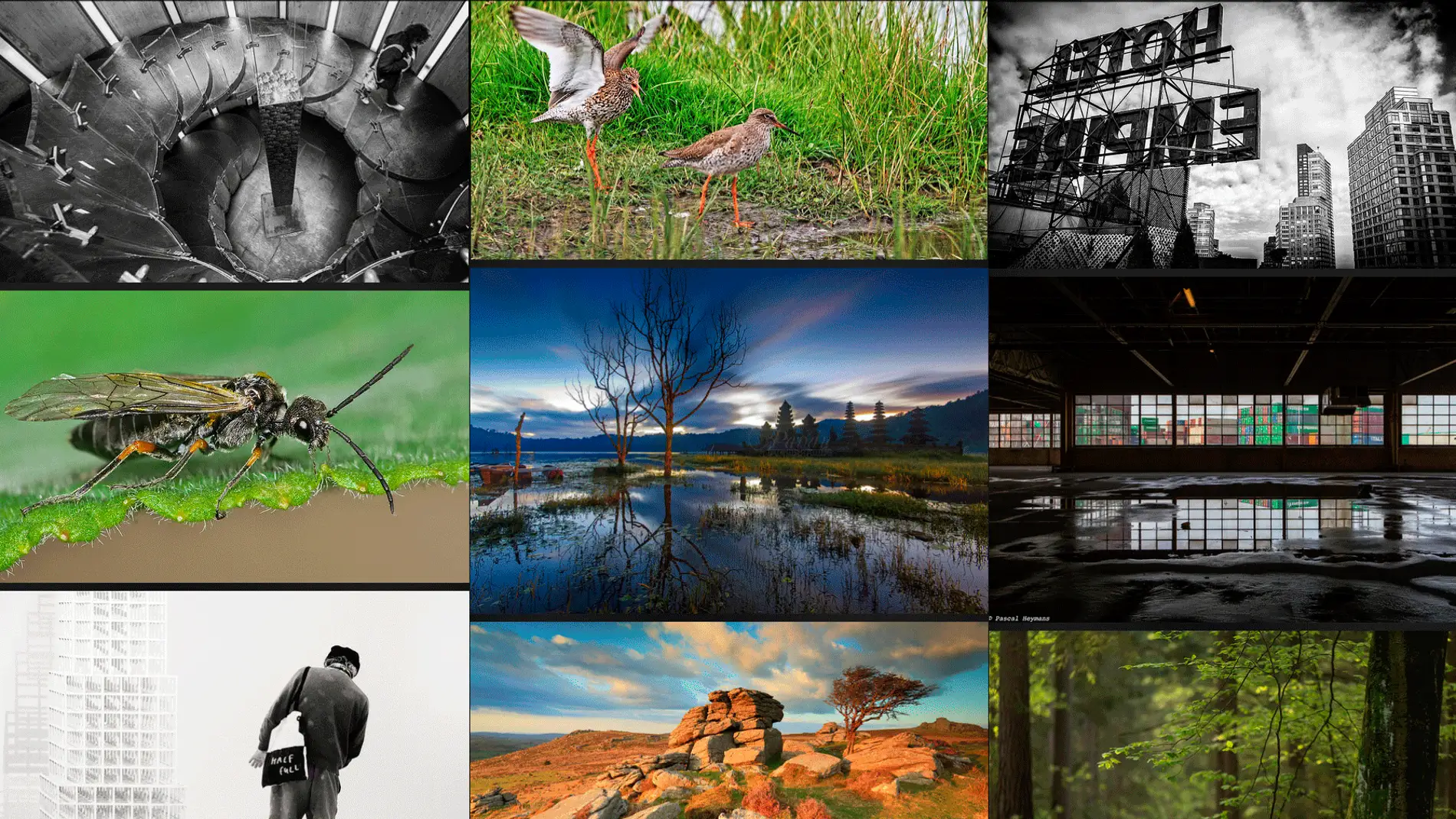 Recomendaciones fotográficas en la app de Flickr