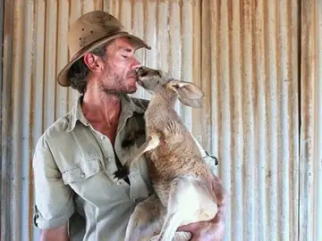 Este australiano rescata y cuida a canguros en Australia Este australiano rescata y cuida a canguros en Australia
