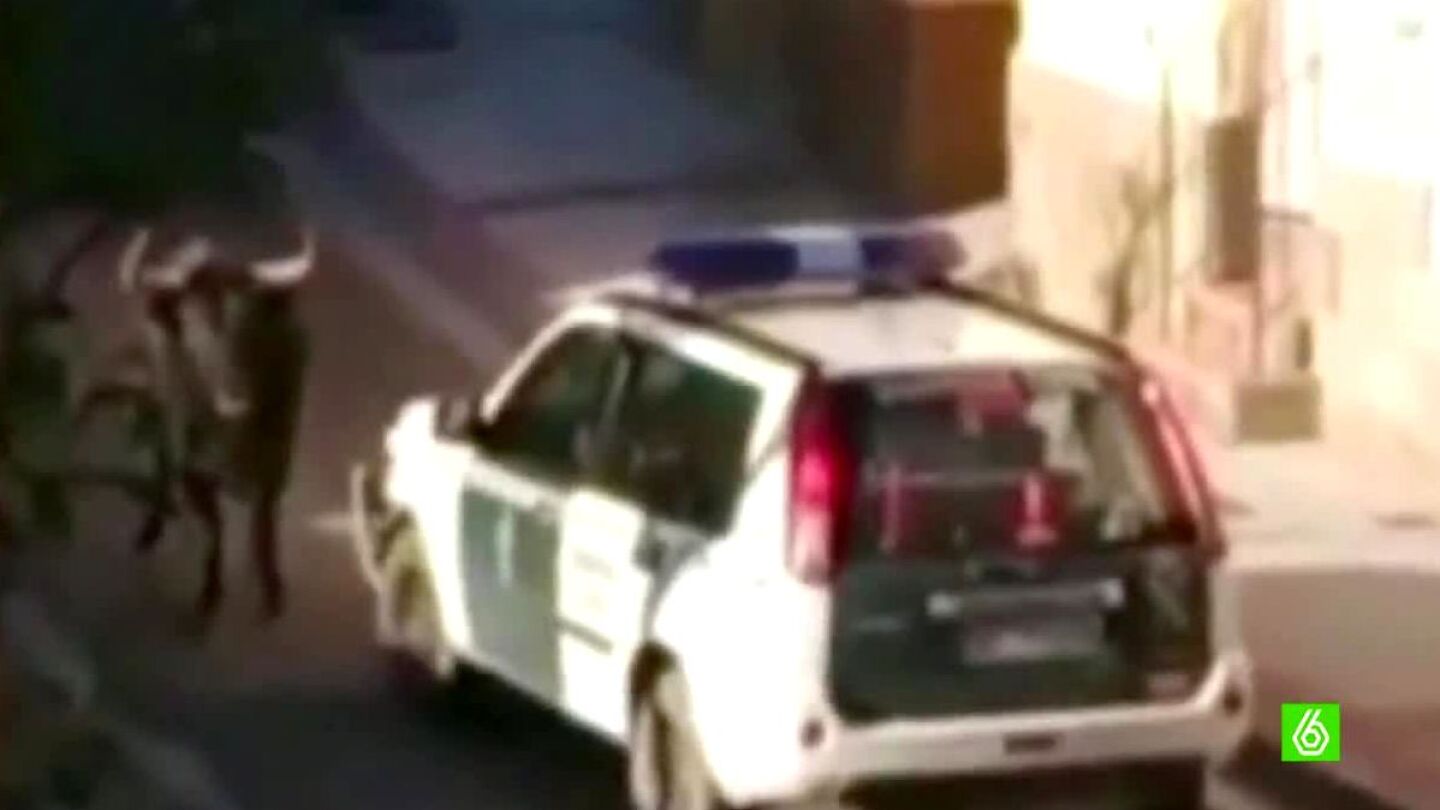 Un toro se escapa en Tauste, Zaragoza