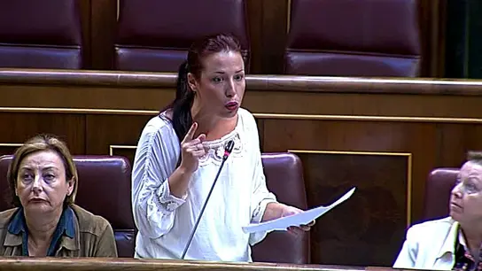 Patricia Hernández, diputada socialista en el Congreso Patricia Hernández, diputada socialista en el Congreso