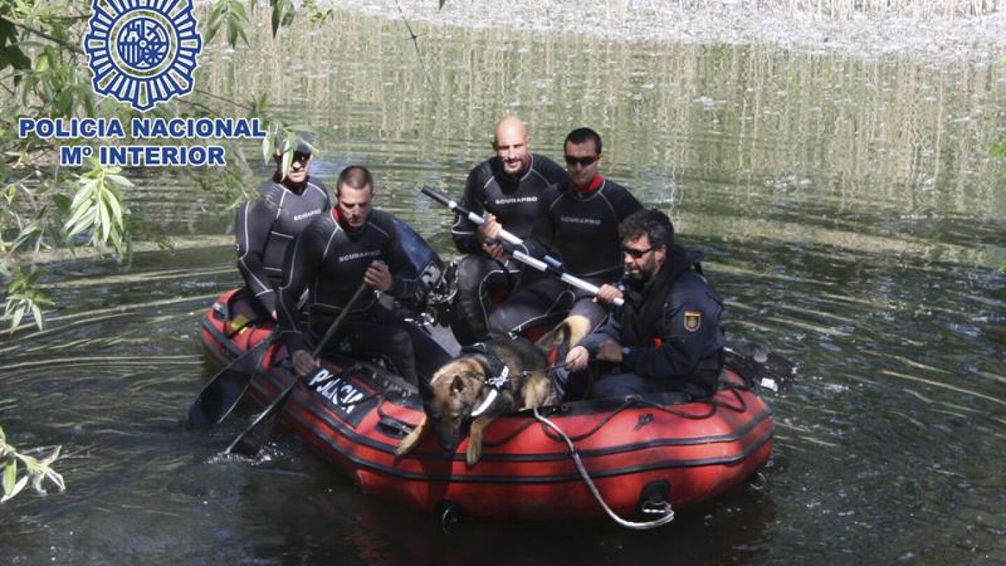  Fotograf&iacute;a facilitada por la Polic&iacute;a Nacional adiestrando a uno de sus canes en la b&uacute;squeda de restos humanos en medio acu&aacute;tico.