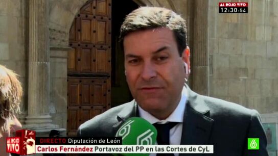 Carlos Fern&aacute;ndez, portavoz del PP en las Cortes de Castilla y Le&oacute;n