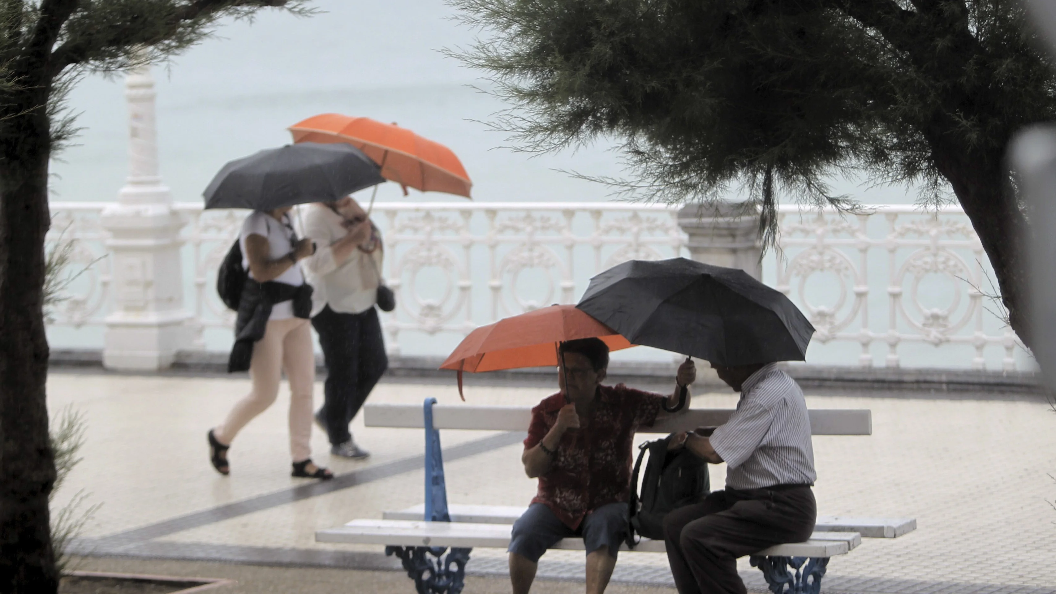 Lluvias y viento 