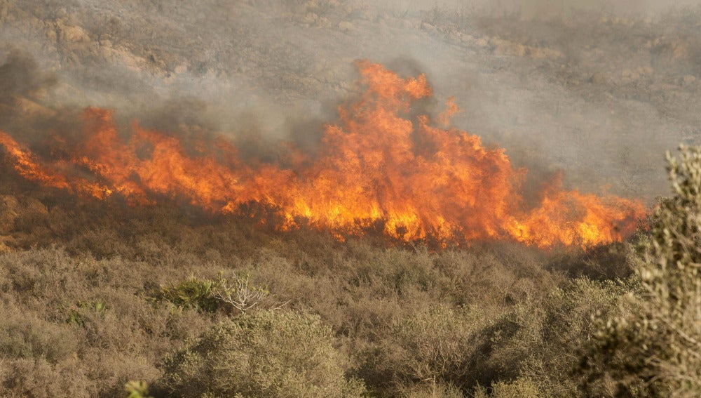 Infoca y bomberos intentan extinguir un incendio forestal en Ayamonte (Huelva)