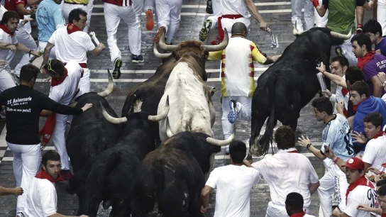 2º encierro | San Fermín 2014 2º encierro | San Fermín 2014