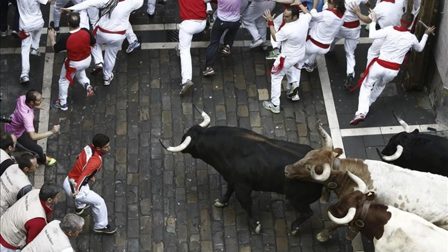 Cuarto encierro de Sanfermines, con toros de la ganadería de Garcigrande Cuarto encierro de Sanfermines, con toros de la ganadería de Garcigrande