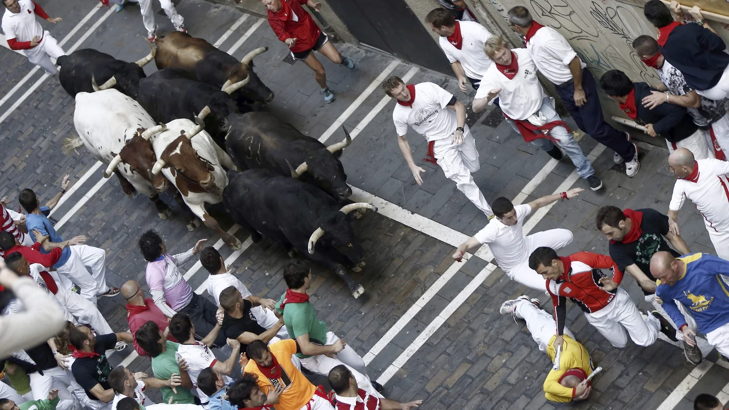 Rápido y limpio encierro sin heridos por asta de toro Rápido y limpio encierro sin heridos por asta de toro
